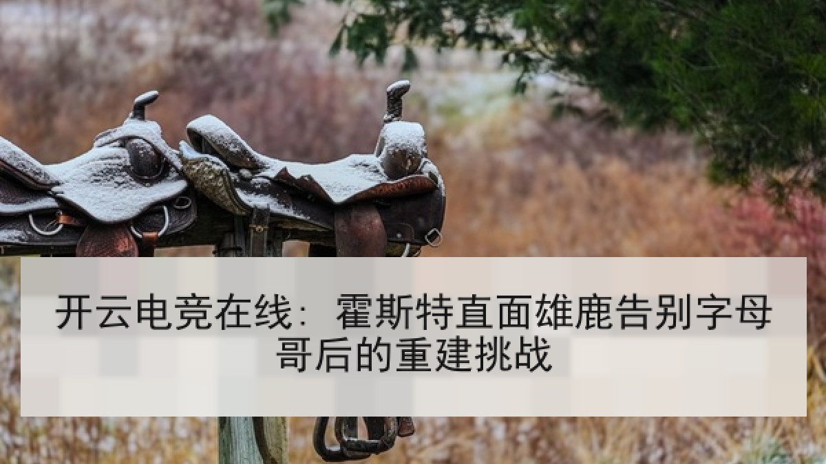 开云电竞在线: 霍斯特直面雄鹿告别字母哥后的重建挑战