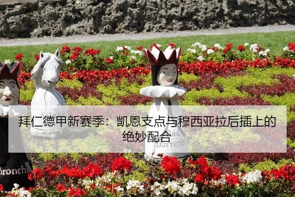 bai-ren-de-jia-xin-sai-ji-kai-en-zhi-dian-yu-mu-xi-ya-la-hou-cha-shang-de-jue-miao-pei-he-3-101.jpg